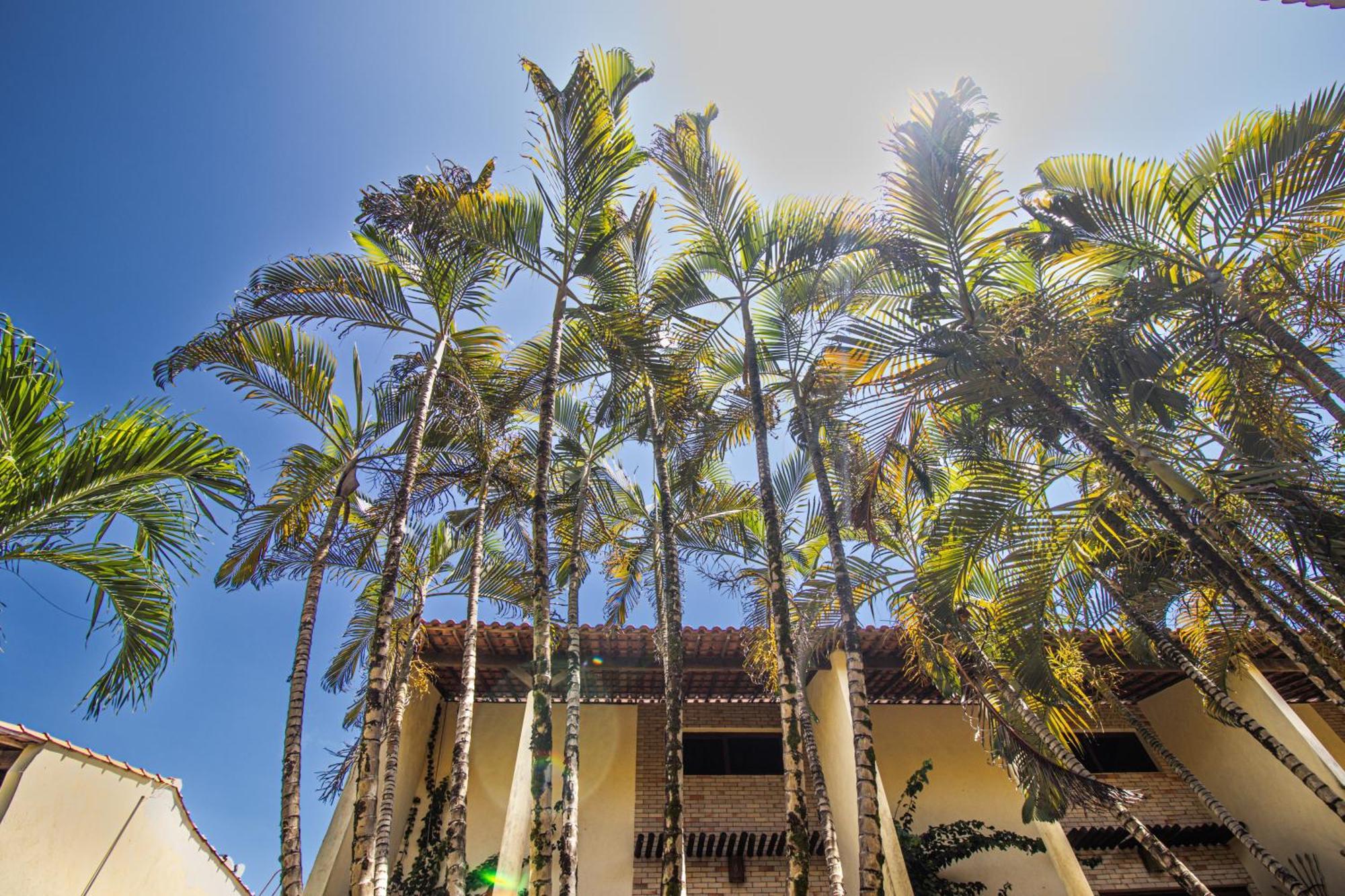 Condominio Solar Pipa - Apartamento Economico, Sem Varanda Praia de Pipa Exteriör bild